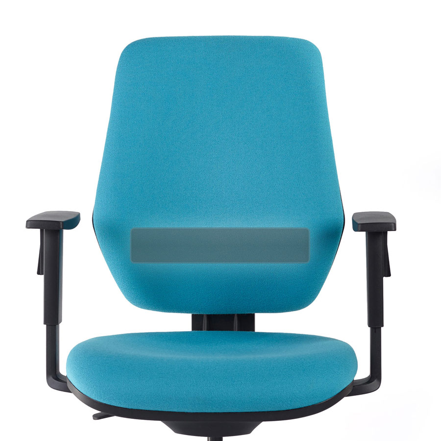 Inflatable Lumbar Support