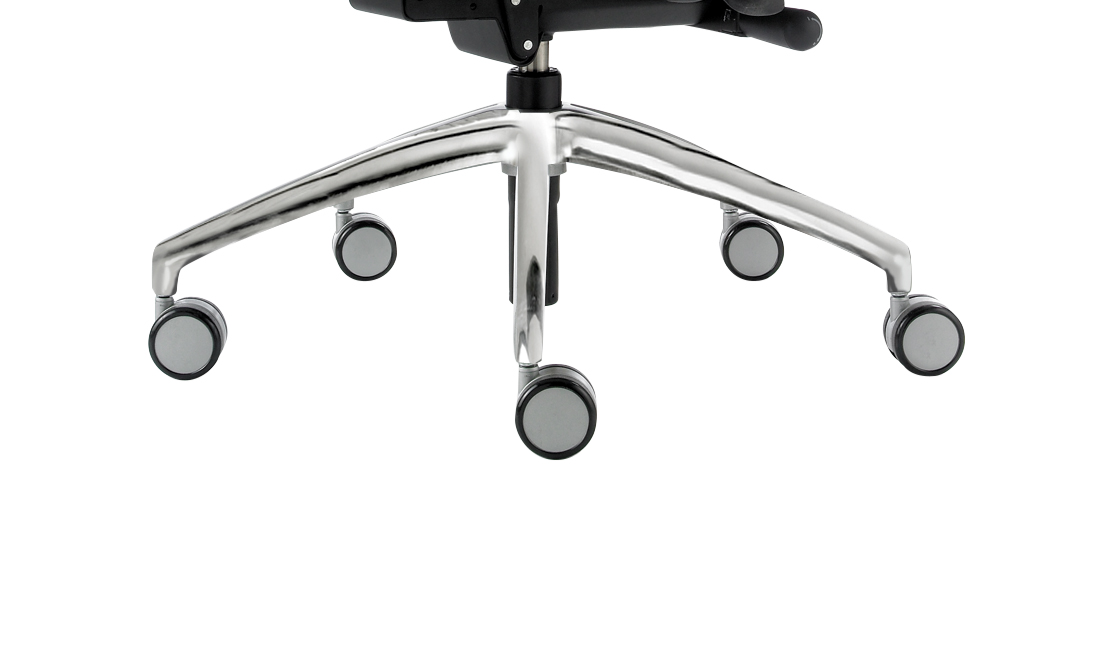 Polished Base - Spider