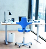 Capisco Fabric Range