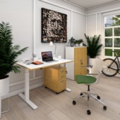 Milo Premium EHA Desks