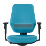 Inflatable Lumbar Support