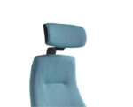 Rheo Headrest