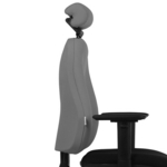 Back - Upholstered