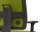 Adjustable Lumbar Support Upholstered