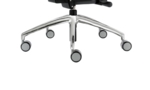 Polished Base - Spider