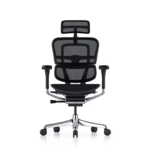 ErgoHuman Elite 2 Quickship