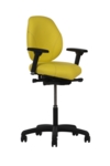 Zenki Sit Stand