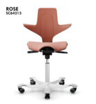Capisco Puls 8020 Chair