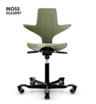 HAG Capisco Puls 8010 (CMHR) Select Gp 2